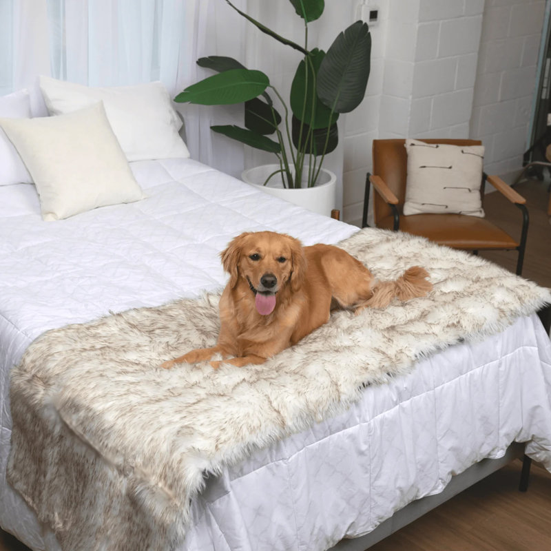 Faux Fur Bed Runner, White / Brown, 30" W x 109" L