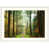 White Frame