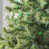 Green selected