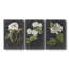 «Dramatic White Flowers I», ensemble de 3 impressions sur toile tendue-77262281
