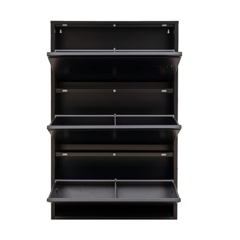 Cathelene 6 Pair Shoe Storage Cabinet, Black