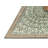 Oriental Indoor Rug-620407285