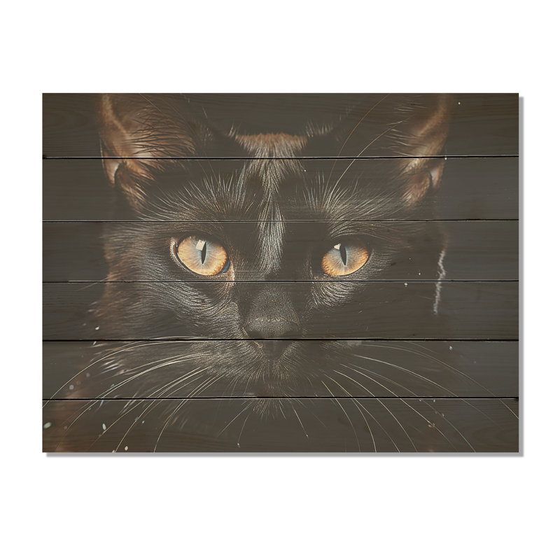 Beauté birmane, chat noir I - art mural en bois sur bois de pin naturel, H 30 po x l 40 po