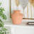 Moanne Terracotta Table Vase