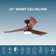 ONE Smart Modern All Season 54" Ceiling Fan with LED Light, Remote, Reversible and Compatible with Alexa/Google 6 Speeds and Light Kit included