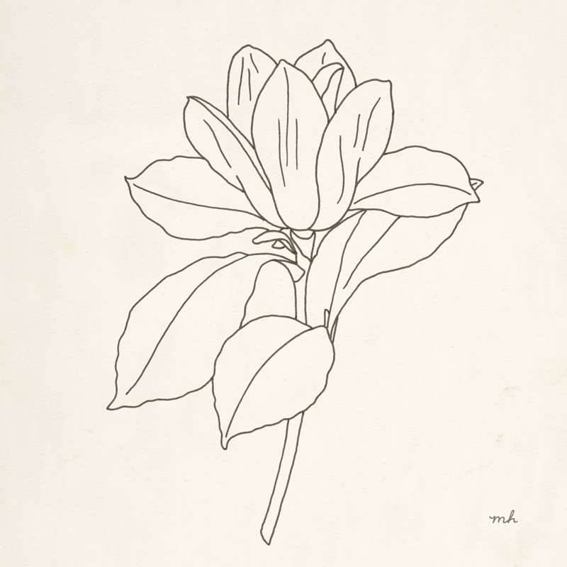 " Magnolia Line Drawing ", 36" H x 36" W