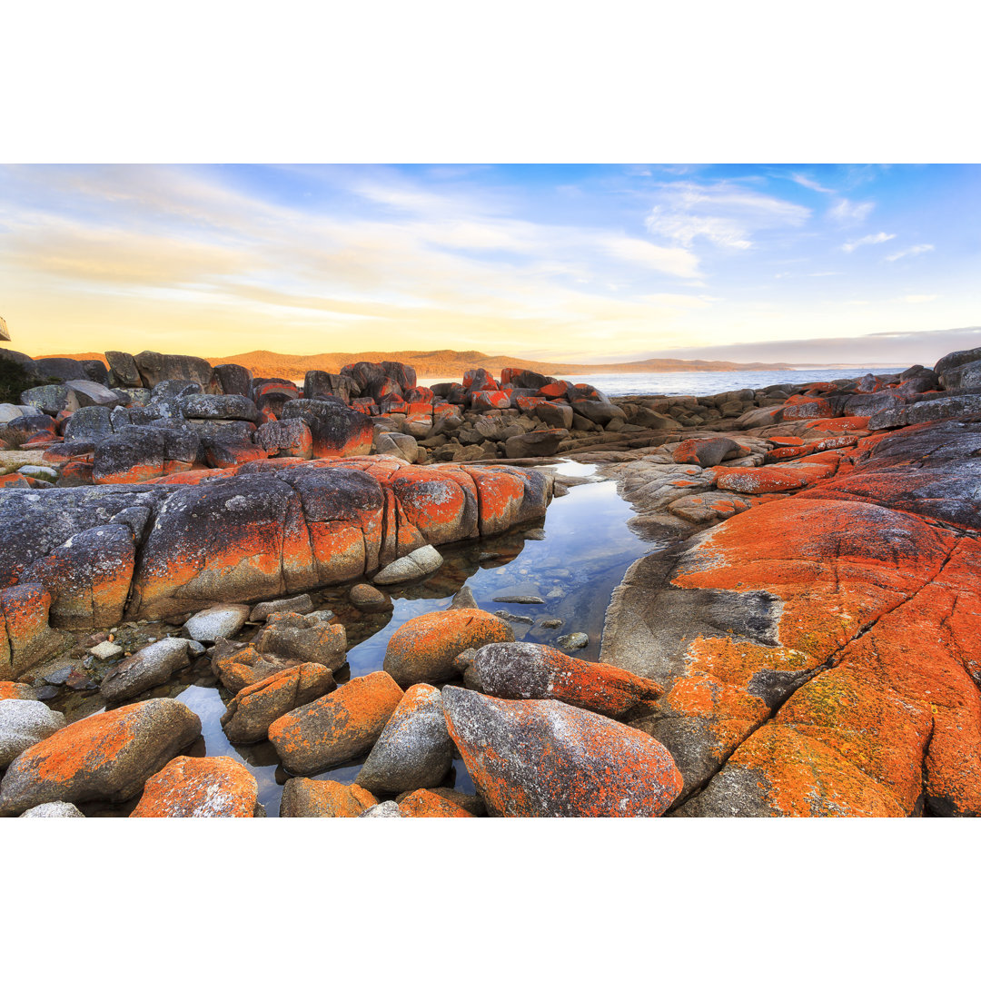 Bay Of Fires, Tasmanien - Drucken