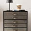 Metal 12 - Drawer Rectangle Accent Chest