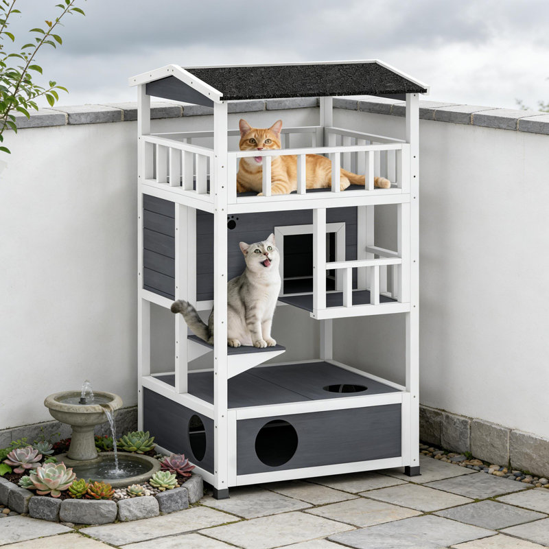 Abri pour chat Féral