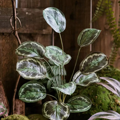 Wild Tropical Leaf Bunch