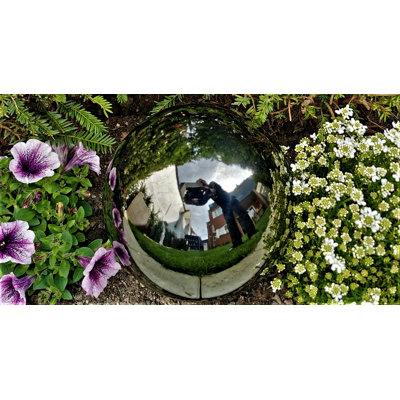 Darzell Stainless Steel Gazing Ball
