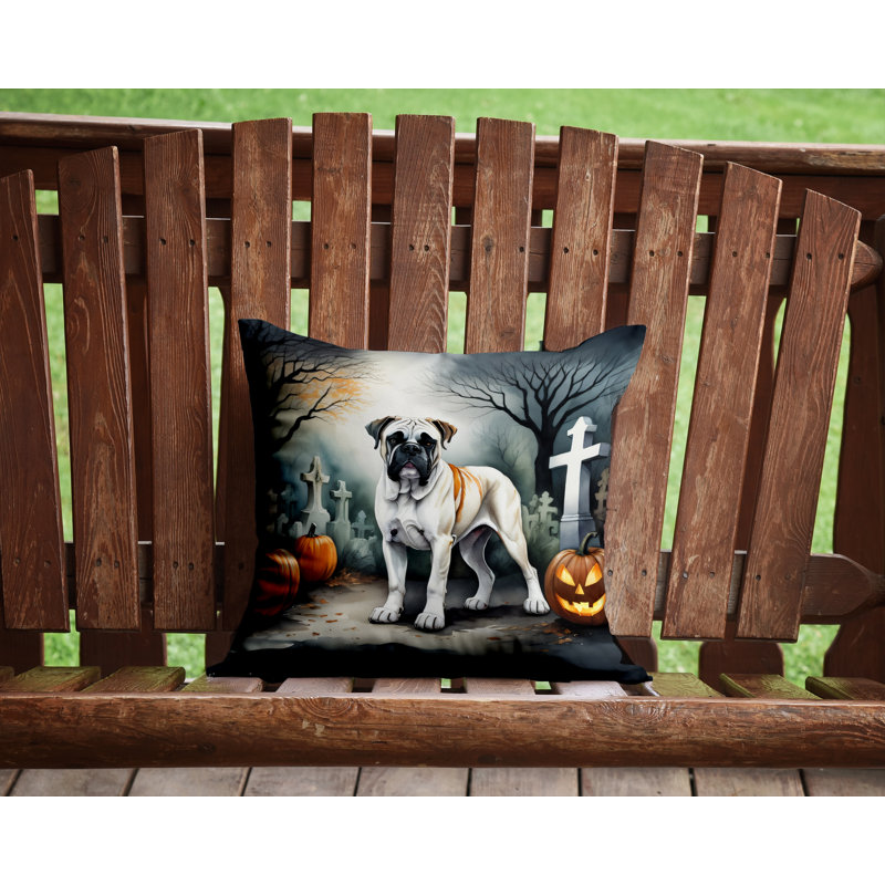 Other/No Pattern Outdoor Throw Pillow, 14" x 14"