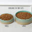 Ensemble de bols en céramique pour chien Skandi-109519331-109519329