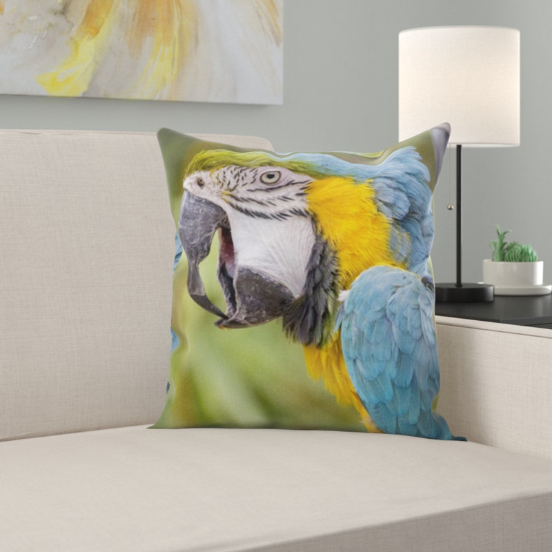 Coussin ara