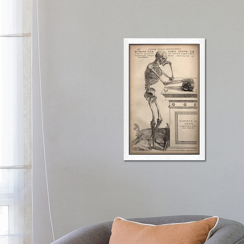 De Humani Corporis Fabrica Skeleton Standing by Vesalius - Print on Canvas, 101.6 cm H x 66.04 cm W, White Framed