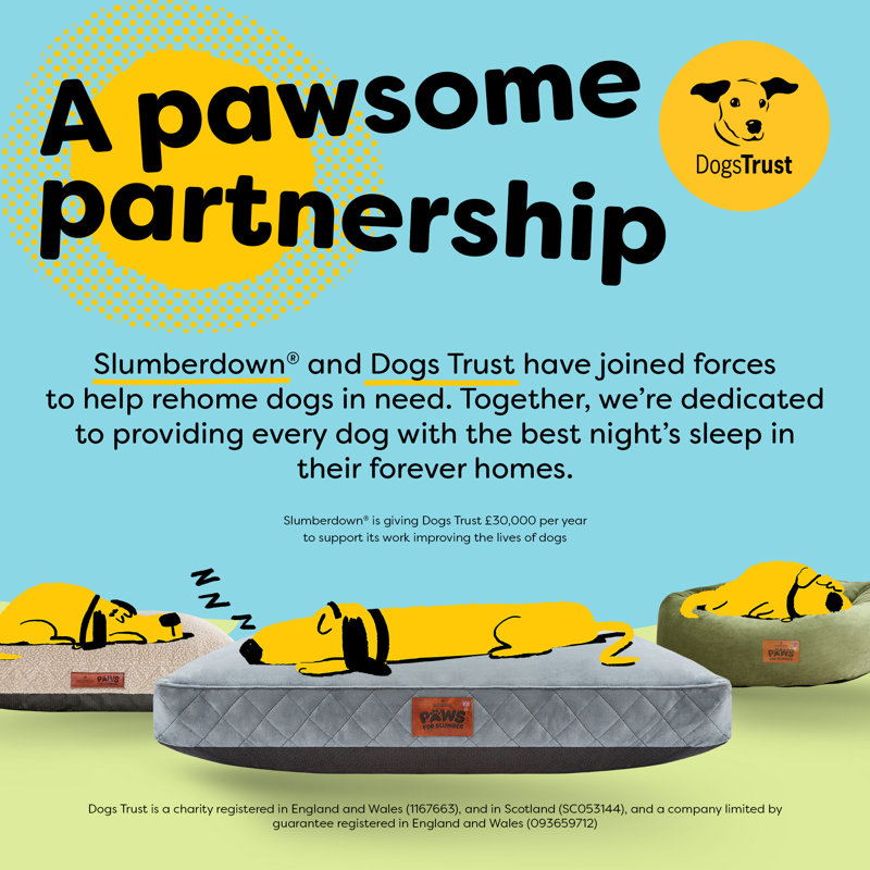 Slumberdown Paws for Slumber Donut Pet Bed, Extra Large (75cm W x 27cm D x 75cm H), Extra Large (71 - 90 lbs), Green