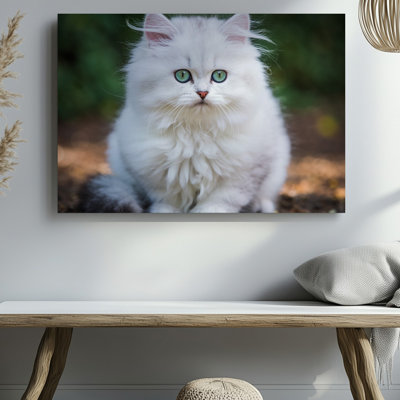 Toile, chaton blanc moelleux avec un doux manteau volumineux, art mural gracieux avec ses grands yeux vert émeraude expressif