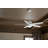 Brahm 48'' Ceiling Fan with LED Lights