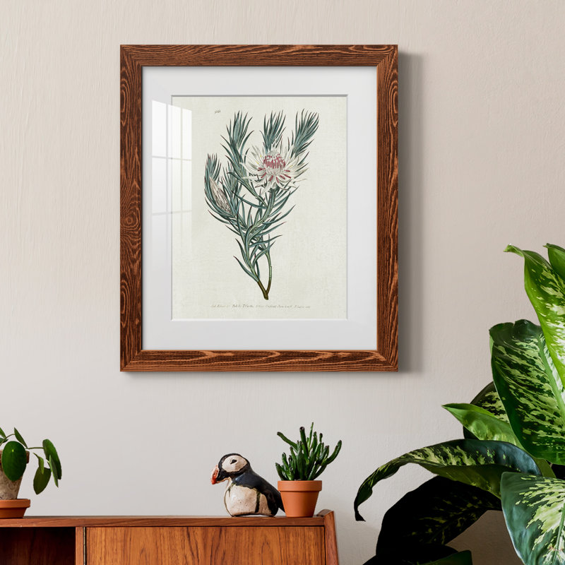 Protea N33 - Peinture encadrée, H 20 po x l 17 po x P 1,5 po, Érable
