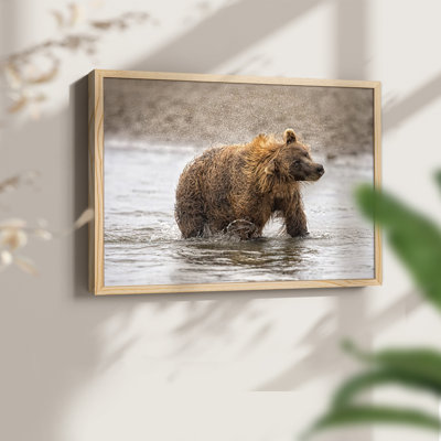 Photography Study Shake it Off -Framed Print - Restickable