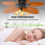 Ventilateur de plafond Delphin-1583104559