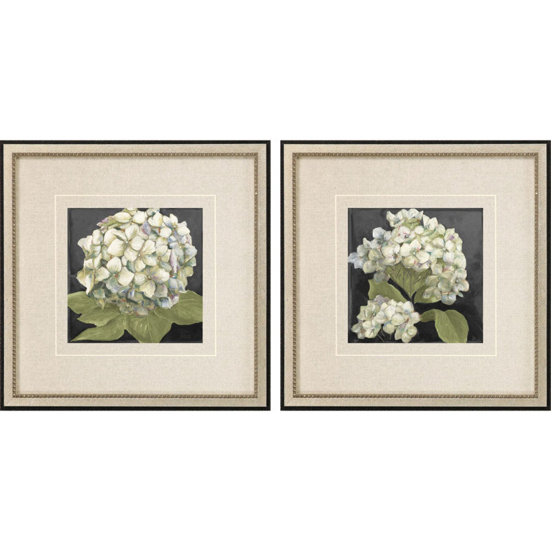 Hydrangeas on Black S/2