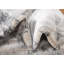 Tapis oriental gris Polli-28848895
