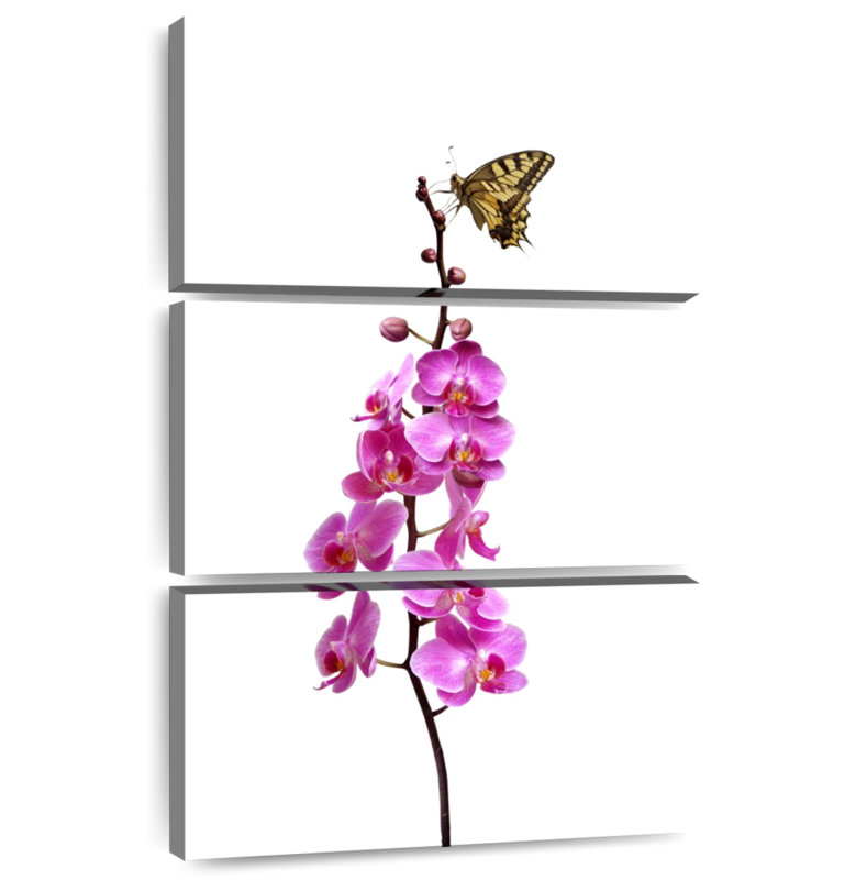 Brampt Butterfly On Orchid Stalk, 74" H x 48" W