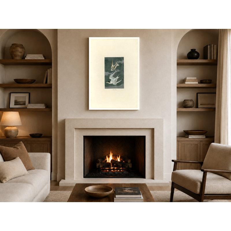 Petite sterne (planche 319) - Art mural sur toile, 14" W x 11" H