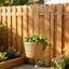 Planter