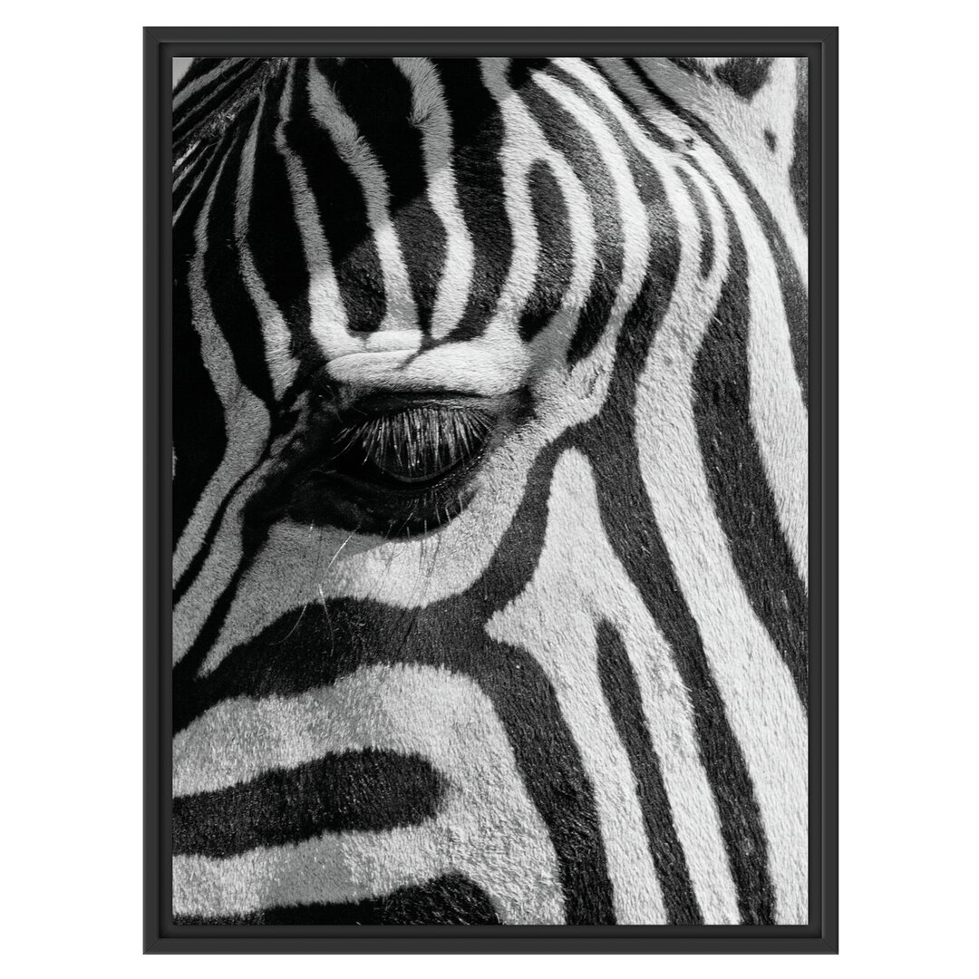 Gerahmtes Wandbild Zebra Porträt