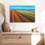 Ferme de tulipes sans fin Alvord-111859681