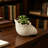 11.5x7x7" Sand and Cement Nautilus Shell Planter –Set of 2 Textured Beige Finish Decorative Flower Pot for Succulents, Herbs & Trailing Plants, Coastal Rustic Boho Indoor/Outdoor Home Decor, Unique Gift