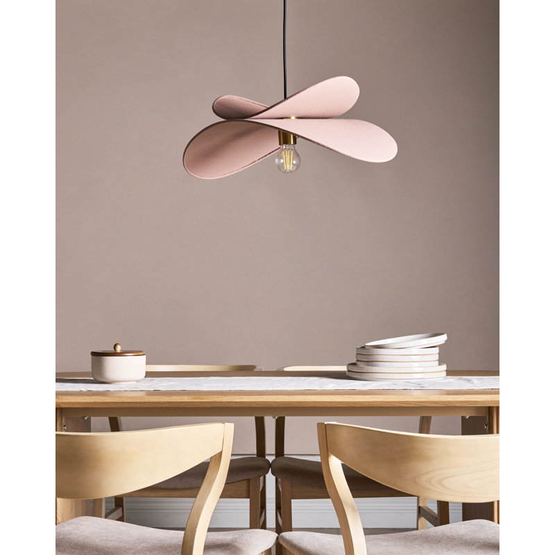 1 - Light Novelty Pendant