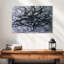 Arbre gris-944662231