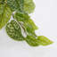 scindapsus 44 cm H Faux Plant
