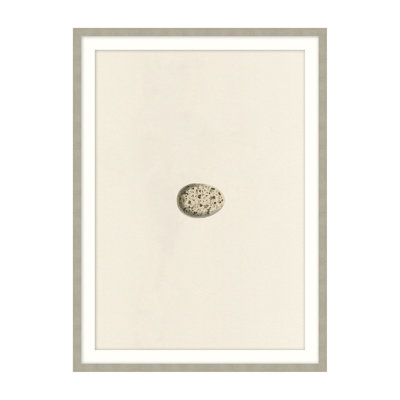Unhatched 3 Illustration by Studio L57 Nouvelle