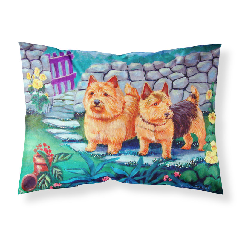  Taie d'oreiller Norwich Terrier