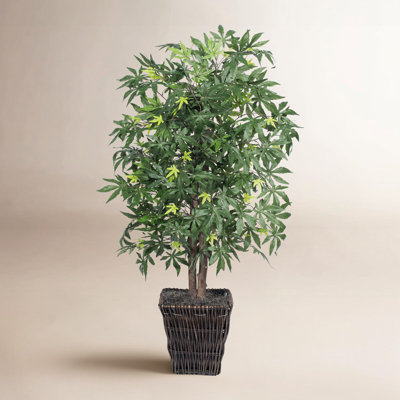 Dejaun 48'' Plant