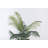 71" Artificial Faux Palm Tree in a Resin Planter | Fake  Palm Tree in a Modern Planter