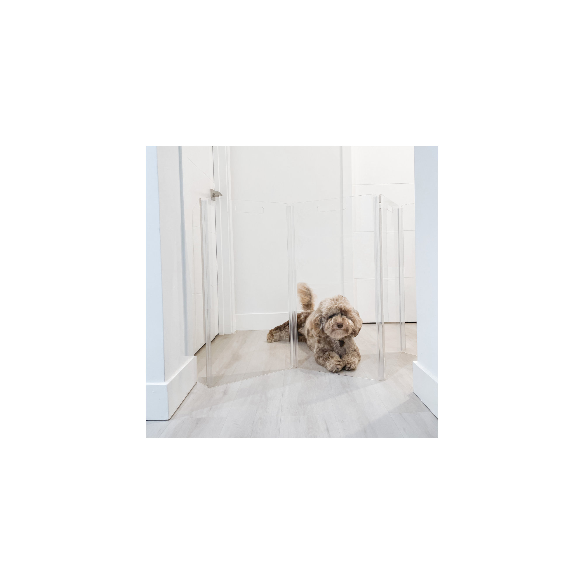Tall Zig Zag Clear Pet Gate, 8-Panel