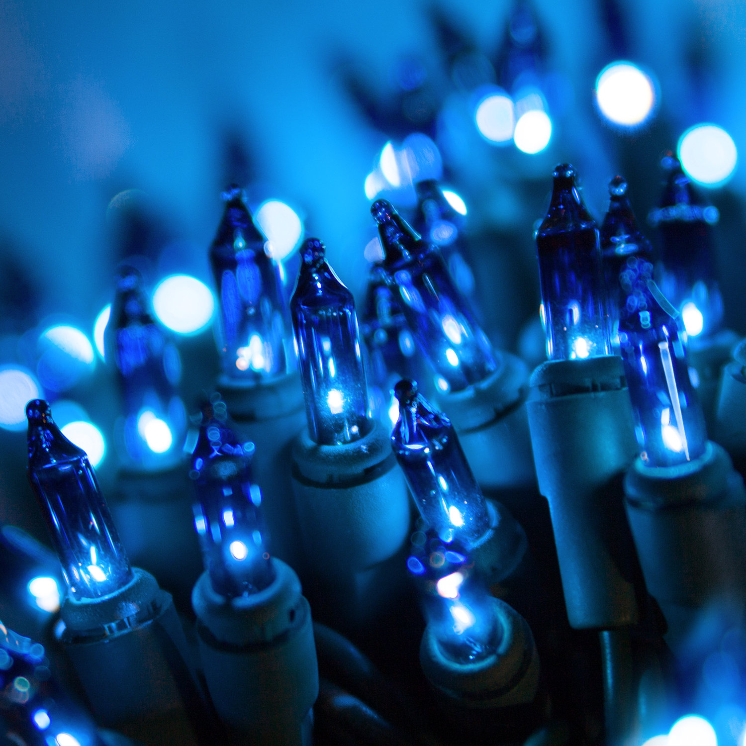 50.5' 100-Light String Lights, Blue
