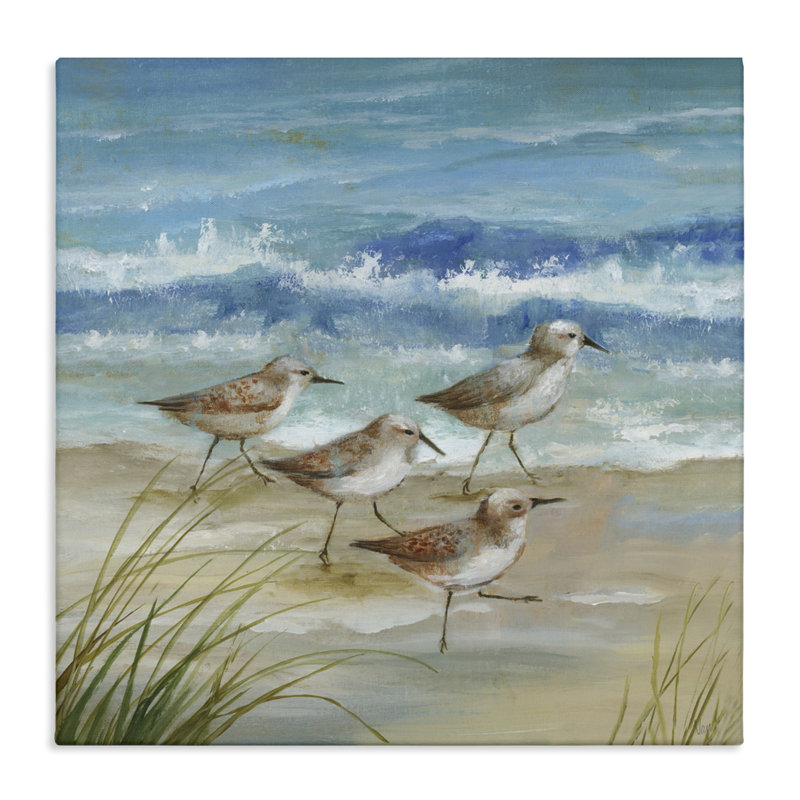 Sandpiper Gathering View, toile par Nan, H 36 po x l 36 po