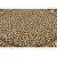 Tapis brun Testerman-94660255