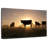 Cow Silhouettes-107673010