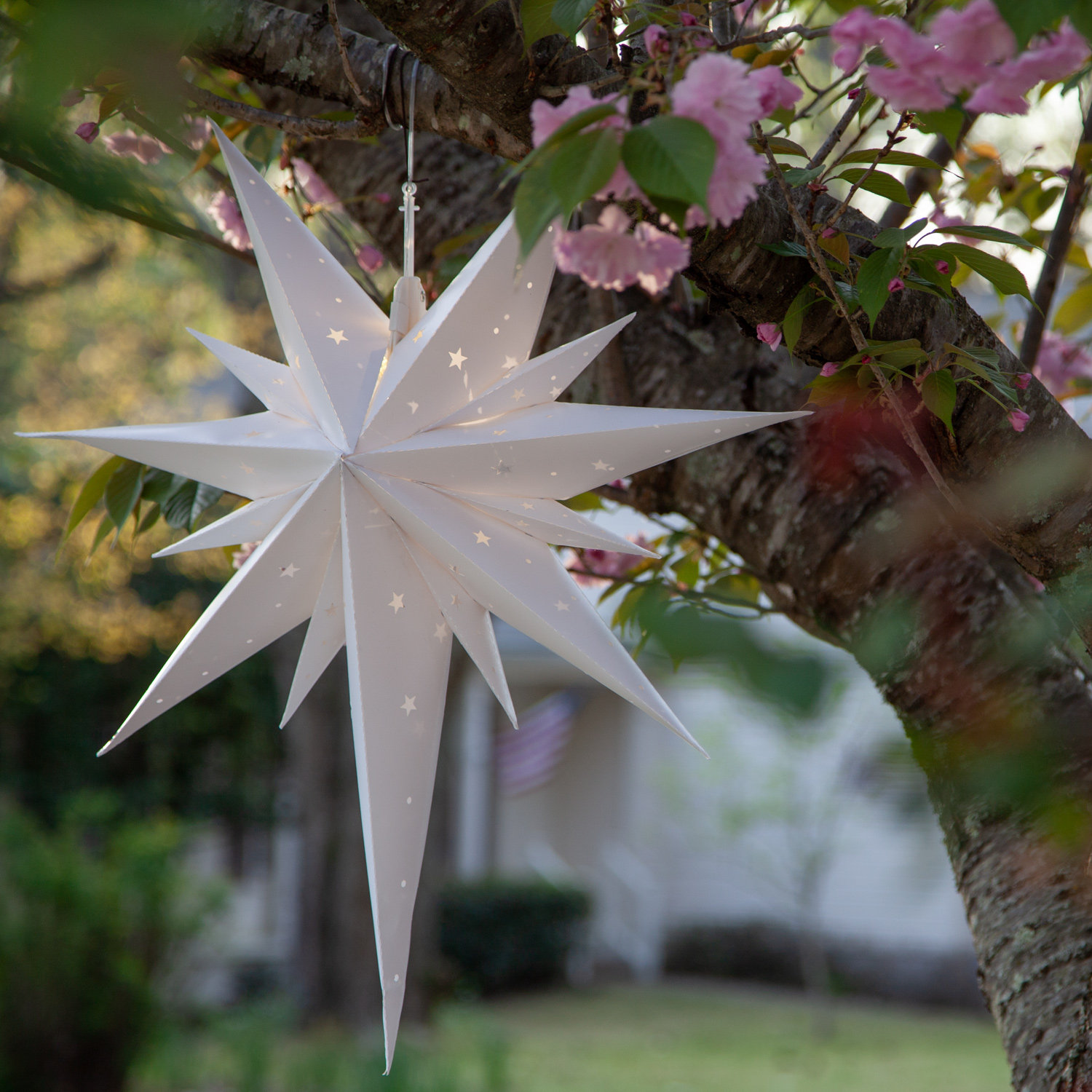 Holiday Lighting