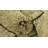 Mosser Beige Rug