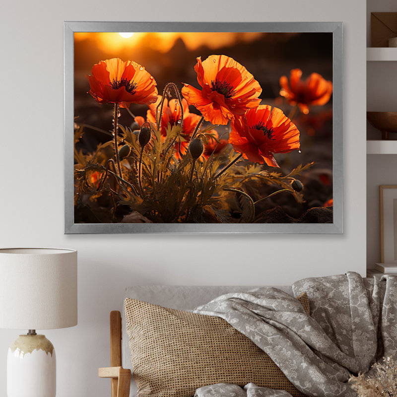Coucher de soleil coquelicots dans la prairie, Cadre photo argenté, H 34 po x l 44 po