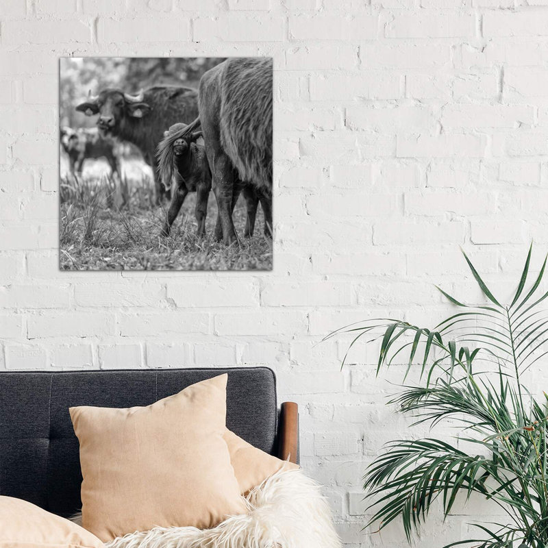 Hide And Seek by Gert Van Den Bosch - Wrapped Canvas Print, 66.04cm H x 66.04cm W x 3.81cm D