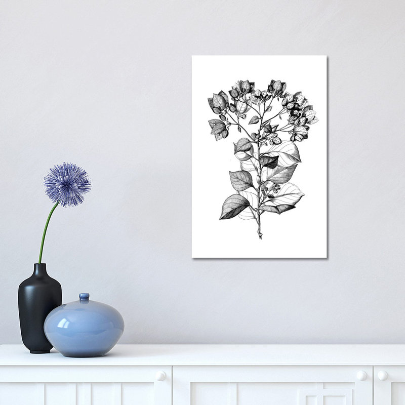 Botanical Black And White I by Kelly Donovan - Wrapped Canvas Gallery-Wrapped Canvas Giclée, 45.72cm H x 30.48cm W x 1.90cm D